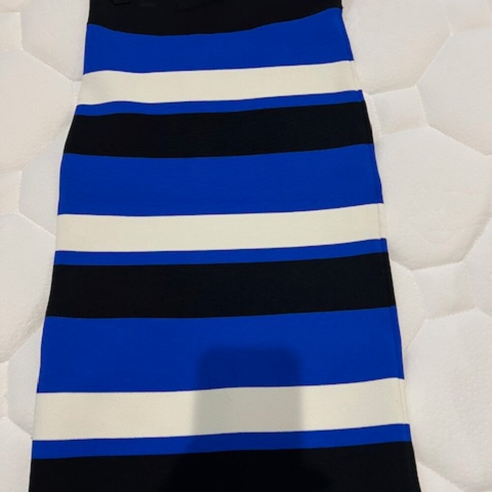 BCBG MaxAzria Power Skirt